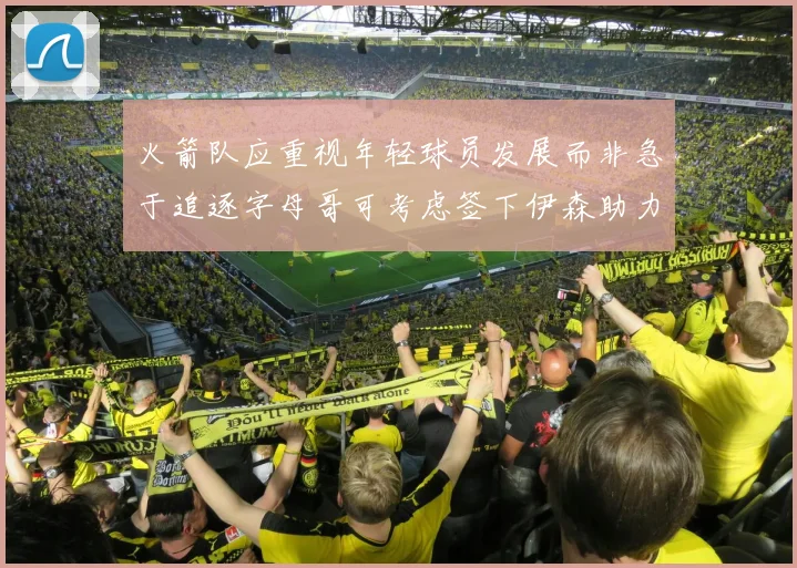 火箭队应重视年轻球员发展而非急于追逐字母哥可考虑签下伊森助力成长