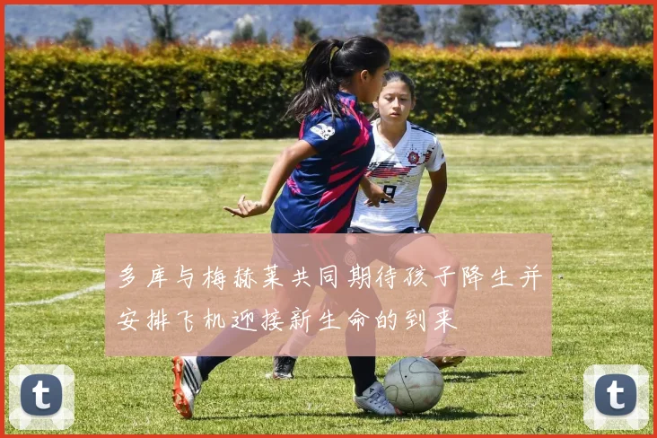 多库与梅赫莱共同期待孩子降生并安排飞机迎接新生命的到来