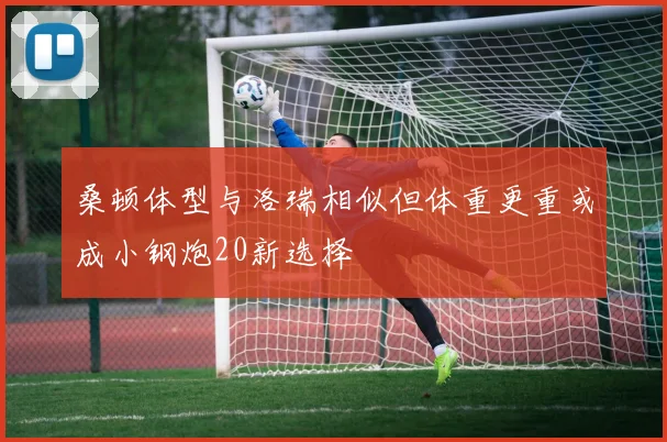 桑顿体型与洛瑞相似但体重更重或成小钢炮20新选择