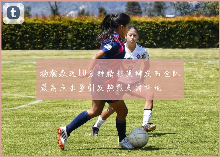 杨瀚森近10分钟精彩集锦发布全队最高点击量引发热烈支持评论