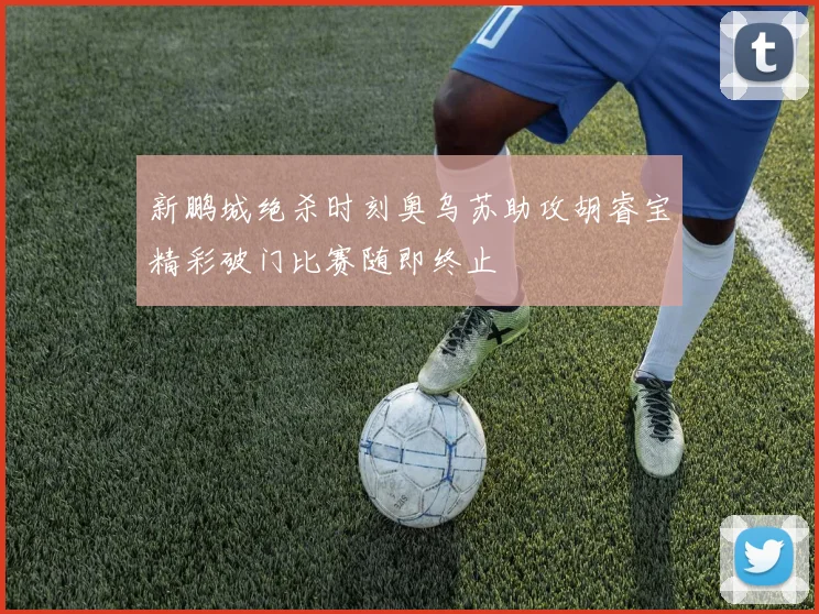 新鹏城绝杀时刻奥乌苏助攻胡睿宝精彩破门比赛随即终止